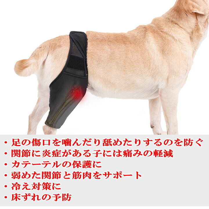 楽天市場 犬用 関節プロテクター 膝 サポーター 前後左右兼用 関節保護 固定 リハビリ 包帯 ペット用ケア用品 犬骨折治療 老犬介護 介護用品 シニア 肘当て 床ずれ 腕 肘 老犬 老齢犬 犬用介護用品 メール便送料無料 Nikkashop