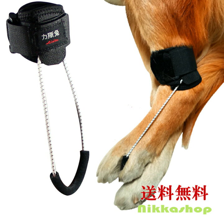 楽天市場 犬用 足首プロテクター 足首 サポーター 後足用 引きずる 歩行サポート 固定 リハビリ 包帯 ペット用ケア用品 犬骨折治療 老犬介護 介護用品 シニア 老犬 老齢犬 犬用介護用品 メール便送料無料 Nikkashop