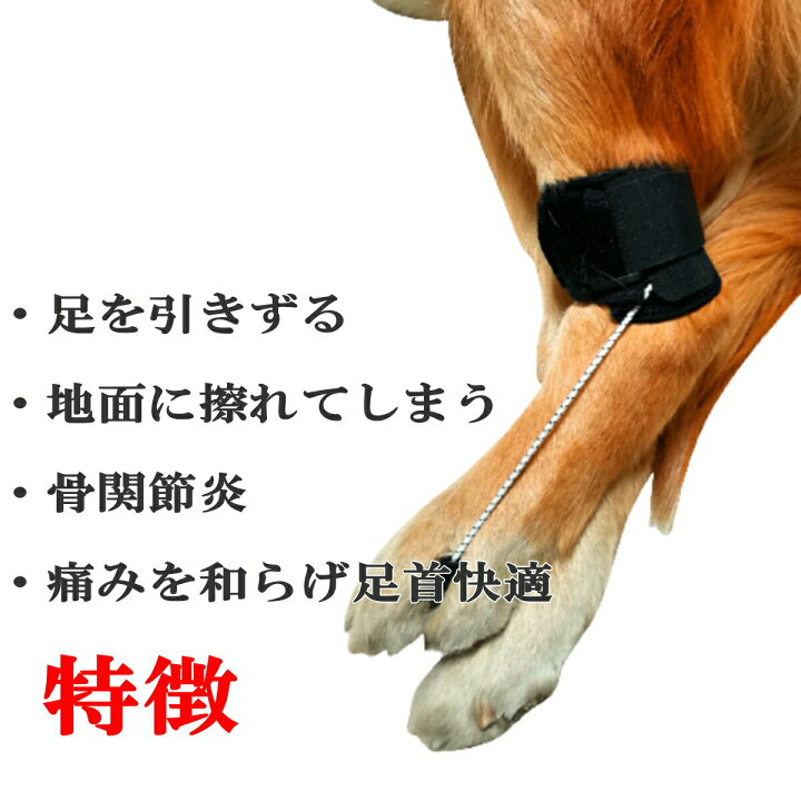 楽天市場 犬用 足首プロテクター 足首 サポーター 後足用 引きずる 歩行サポート 固定 リハビリ 包帯 ペット用ケア用品 犬骨折治療 老犬介護 介護用品 シニア 老犬 老齢犬 犬用介護用品 メール便送料無料 Nikkashop 楽天市場 犬用 足首プロテクター 足首 サポーター 後足用 引きずる 歩行サポート 固定 リハビリ 包帯 ペット用ケア用品 犬骨折治療 老犬介護 介護用品 シニア 老犬 老齢犬 犬用介護用品 メール便送料無料 Nikkashop