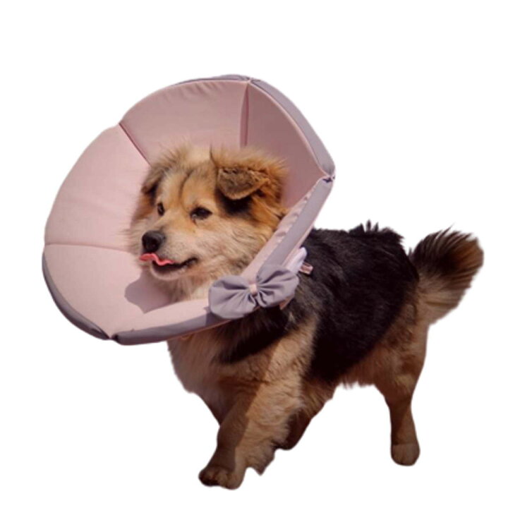 格安saleスタート エリザベスカラー 大型犬 中型犬 ソフト 布製 柔らかい 軽量 調節可能 Xl 3xlサイズ 傷舐め防止 引っ掻き防止 傷口保護 手術後のケア 送料無料 Shipsctc Org