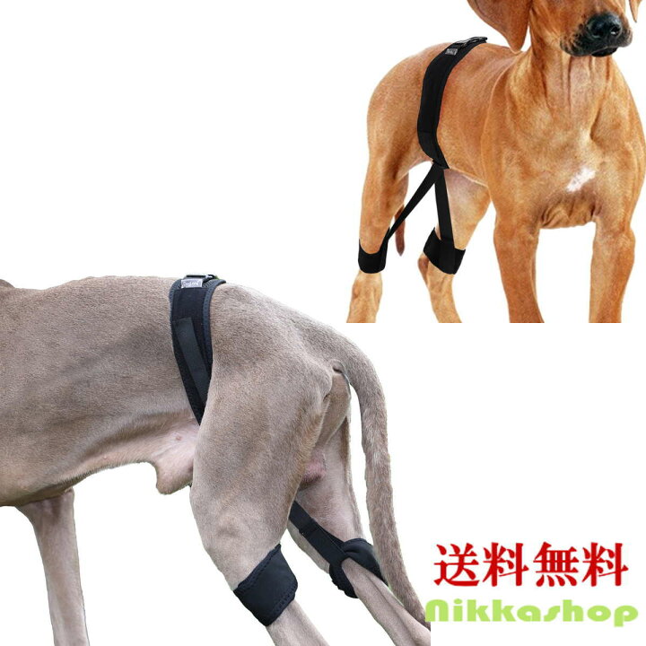 楽天市場】＜新商品！＞犬 サポーター 股関節 小型犬 中型犬 大型犬 