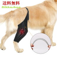 【楽天ランキング1位受賞】犬 サポーター 後ろ足 前足 左右兼用 スプリング内蔵 小型犬 中型犬 大型犬 関…