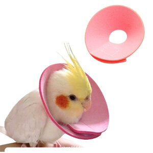 ViIGUxXJ[  \tg o[hlbNJ[ IE ZLZC CR ng  p z މHh~ \ ݖh~ y tFg_炩 S-LTCY ~h