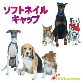 犬ペット ネイルキャップ 犬用 ソフト ネイル キャップ ネイルカバー XSサイズ 20個セット 専用接着剤 小型犬 中型犬 メール便送料無料