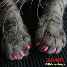 楽天市場 猫 ネイル キャップの通販