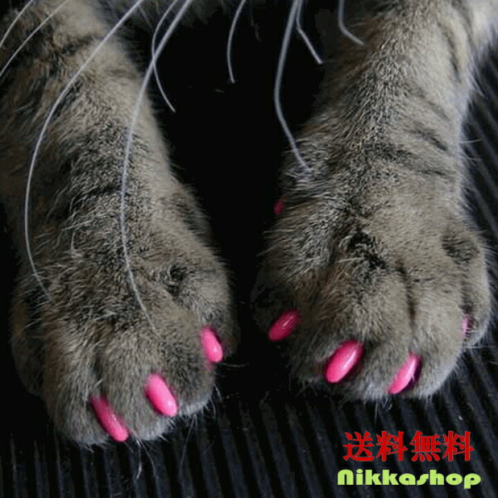 楽天市場 クーポン対象商品 猫用 ソフト ネイル キャップ ネイルカバー 個セット 専用接着剤 メール便送料無料 Nikkashop