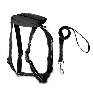 Z[50OFF n[lX [h ^ EȂ ȒP [obOt ^b` \tg y JWA  n[lX  [h p [֑