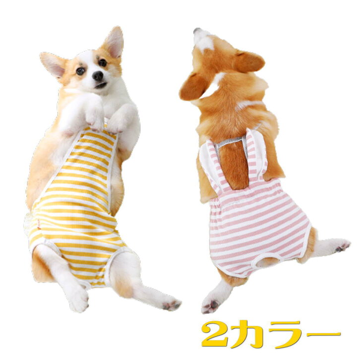 楽天市場】【クーポン対象商品】犬服 ドッグウェア サニタリーパンツ 生理パンツ マナーパンツ つなぎタイプ 胸当て ウサギ耳付き おむつカバー 女の子用 発情期用 メス 生理用 マーキング 尿もれ オシッコ対策 ずれない マナー ズレ防止 ドッグカフェ 室内 おでかけ ... 楽天市場】【クーポン対象商品】犬服 ドッグウェア サニタリーパンツ 生理パンツ マナーパンツ つなぎタイプ 胸当て ウサギ耳付き おむつカバー 女の子用 発情期用 メス 生理用 マーキング 尿もれ オシッコ対策 ずれない マナー ズレ防止 ドッグカフェ 室内 おでかけ ...