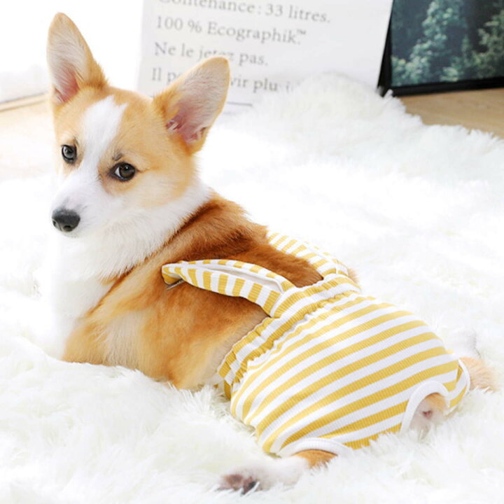 楽天市場】【クーポン対象商品】犬服 ドッグウェア サニタリーパンツ 生理パンツ マナーパンツ つなぎタイプ 胸当て ウサギ耳付き おむつカバー 女の子用 発情期用 メス 生理用 マーキング 尿もれ オシッコ対策 ずれない マナー ズレ防止 ドッグカフェ 室内 おでかけ ... 楽天市場】【クーポン対象商品】犬服 ドッグウェア サニタリーパンツ 生理パンツ マナーパンツ つなぎタイプ 胸当て ウサギ耳付き おむつカバー 女の子用 発情期用 メス 生理用 マーキング 尿もれ オシッコ対策 ずれない マナー ズレ防止 ドッグカフェ 室内 おでかけ ...