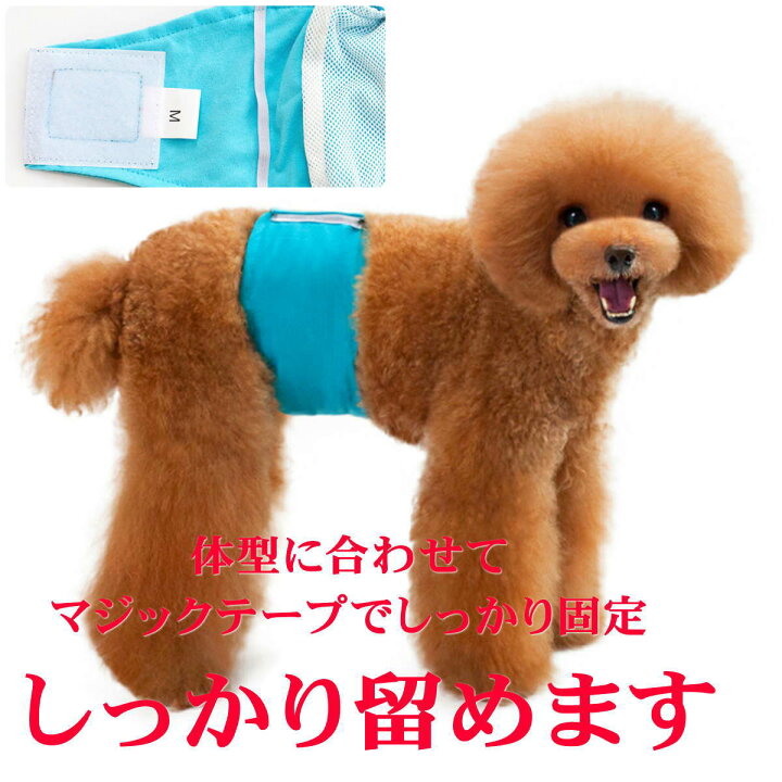 楽天市場 マナーベルト 犬 オス おむつ カバー オムツ シンプル 幅広 オス 男の子 介護用 シニア犬 消臭 かぶれ 嫌がる 介護 去勢 交配 散歩 高齢犬 通気性 避妊 漏れにくい オシッコ対策 ずれない マナー ズレ防止 ドッグカフェ 室内 おでかけ ドライブ メール便送料無料 楽天市場 マナーベルト 犬 オス おむつ カバー オムツ シンプル 幅広 オス 男の子 介護用 シニア犬 消臭 かぶれ 嫌がる 介護 去勢 交配 散歩 高齢犬 通気性 避妊 漏れにくい オシッコ対策 ずれない マナー ズレ防止 ドッグカフェ 室内 おでかけ ドライブ メール便送料無料