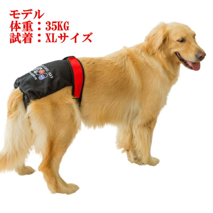 楽天市場 犬服 ドッグウェア サニタリーパンツ 大型犬 生理パンツ マナーパンツ おむつカバー 女の子用 発情期用 メス 生理用 マーキング 尿もれ オシッコ対策 ずれない マナー ズレ防止 ドッグカフェ 室内 おでかけ ドライブメール便送料無料 Nikkashop