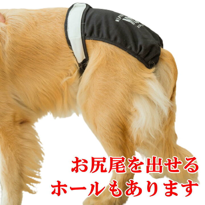 楽天市場 犬服 ドッグウェア サニタリーパンツ 大型犬 生理パンツ マナーパンツ おむつカバー 女の子用 発情期用 メス 生理用 マーキング 尿もれ オシッコ対策 ずれない マナー ズレ防止 ドッグカフェ 室内 おでかけ ドライブメール便送料無料 Nikkashop