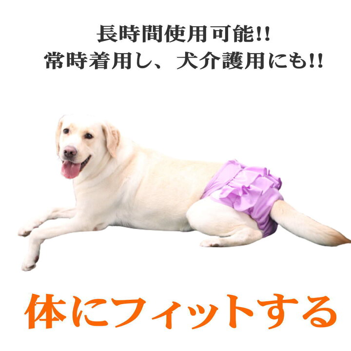 独特な ブルーl ヒート用 パンツ おむつ 生理 マナーパンツ サニタリー 犬用 ペット Www Anavara Com