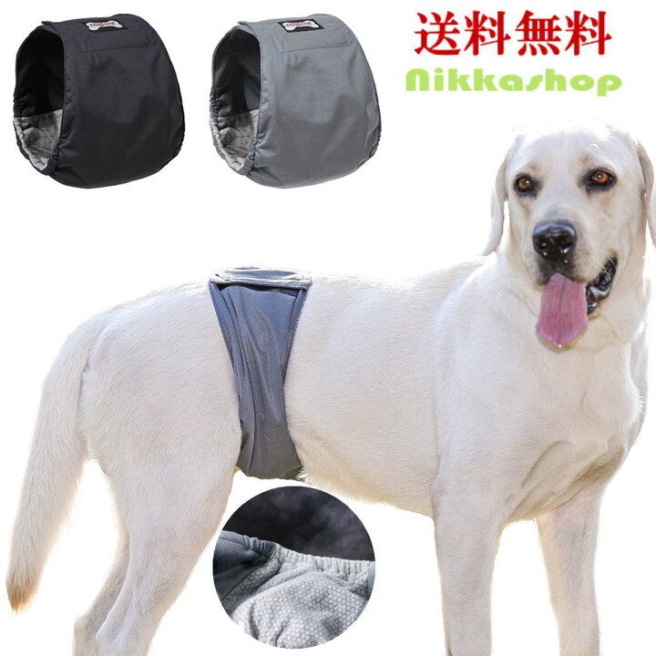 楽天市場 マナーベルト 大型犬 オムツ ずれ 防止 グラフェン 抗菌 消臭 おむつ カバー オムツ 幅広 吸水 抗菌 防臭 漏れにくい 通気性 オス 男の子 Xl Xxlサイズ 介護用 シニア犬 高齢犬 消臭 かぶれ 嫌がる 去勢 交配 散歩 避妊 オシッコ対策 送料無料