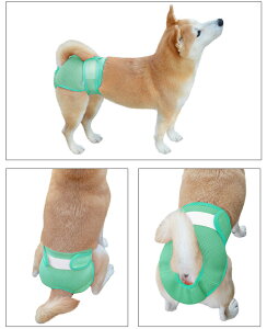 ViI}i[pc  X bV}i[pc Jo[ ̎q Tj^[ pc pc }i[EFA Ȃ TCY\  S-XXLTCY p p }[LO 