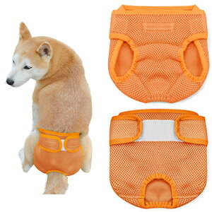 ViI}i[pc  X bV}i[pc Jo[ ̎q Tj^[ pc pc }i[EFA Ȃ TCY\  S-XXLTCY p p }[LO 