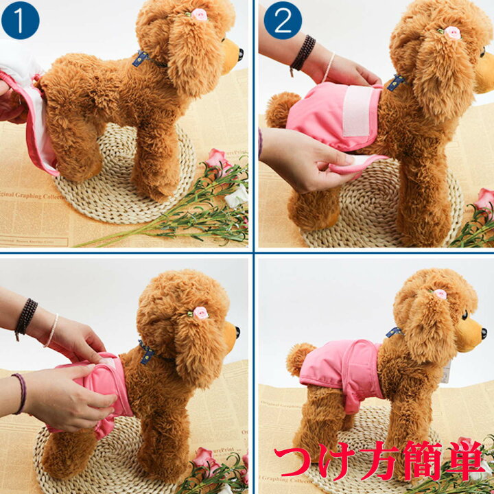 楽天市場】＜新商品！＞犬 マナーパンツ 女の子 メス 大型犬 デニム 