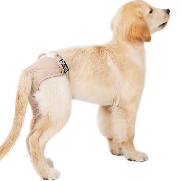 楽天市場 犬 サニタリーパンツ マナーパンツ 女の子 犬 おむつカバー 子犬 メス おむつ 生理パンツ 調整可能 発情期用 生理用 マーキング 尿もれ オシッコ対策 ずれない マナー ズレ防止 ドッグカフェ 室内 おでかけ ドライブメール便送料無料 Nikkashop 楽天市場 犬 サニタリーパンツ マナーパンツ 女の子 犬 おむつカバー 子犬 メス おむつ 生理パンツ 調整可能 発情期用 生理用 マーキング 尿もれ オシッコ対策 ずれない マナー ズレ防止 ドッグカフェ 室内 おでかけ ドライブメール便送料無料 Nikkashop