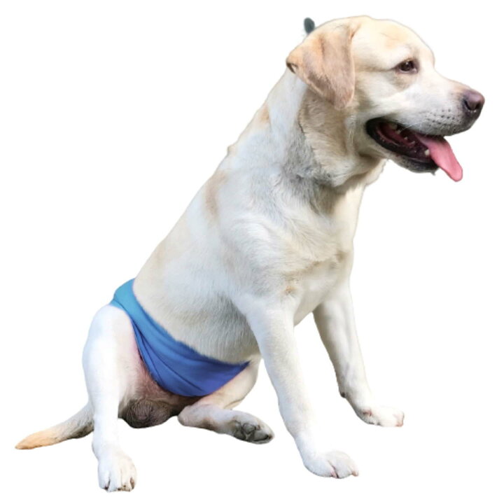 楽天市場 マナーベルト 犬 オス おむつ カバー オムツ 幅広マナーベルト オス 男の子 介護用 シニア犬 消臭 かぶれ 嫌がる 介護 去勢 交配 散歩 高齢犬 通気性 避妊 漏れにくい オシッコ対策 ずれない マナー ズレ防止 ドッグカフェ 室内 おでかけ ドライブ メール便送料 楽天市場 マナーベルト 犬 オス おむつ カバー オムツ 幅広マナーベルト オス 男の子 介護用 シニア犬 消臭 かぶれ 嫌がる 介護 去勢 交配 散歩 高齢犬 通気性 避妊 漏れにくい オシッコ対策 ずれない マナー ズレ防止 ドッグカフェ 室内 おでかけ ドライブ メール便送料