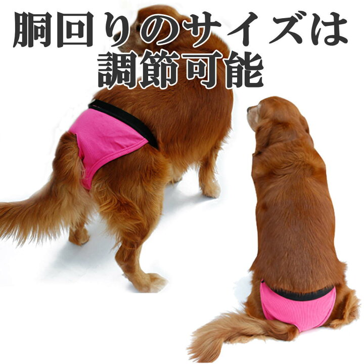 楽天市場 犬 サニタリーパンツ 生理パンツ マナーパンツ ２枚セットまわしタイプ おむつカバー 発情期用 マーキング 尿もれ オシッコ対策 送料無料 Nikkashop
