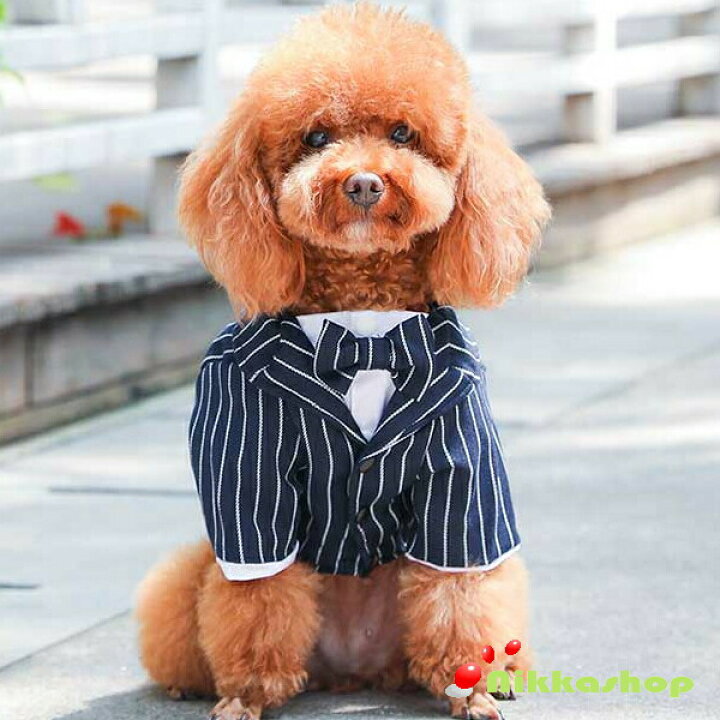 楽天市場 犬服 ドッグウェア タキシード ストライプ 新郎 リボン ネックレス付き S Xlサイズ 小型犬 中型犬 結婚式 ウェディング お祝い 記念パーティー 制服 メール便送料無料 Nikkashop