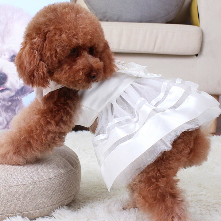 セール 犬服 3段ギャザー お祝い ドッグウェア パーティードレス フラワーリボン ワンピース 上品 光沢 制服 犬猫 結婚式 記念パーティー 送料無料 感謝価格 ドッグウェア セール 犬服 3段ギャザー お祝い ドッグウェア パーティードレス フラワーリボン ワンピース 上品 光沢 制服 犬猫 結婚式 記念パーティー 送料無料 感謝価格 ドッグウェア