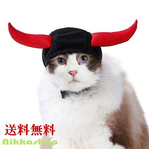  Xq P[v ybgRXv  L ϑ Xq RX`[ p[eB[ P[v ybgp RXv IbNXz[ fr oCLO Ȃ肫 Xq 蕨 Ԃ p[eB