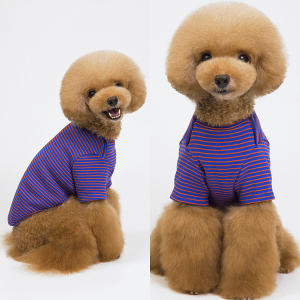 Z[20OFF ~ g[i[ h~ Vc X[u {[_[ h ё΍  ^ ^ ^ ̕ ybg [֑