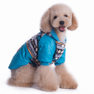 Z[20OFF  ~ h p[J[ WPbg t t[X gCo   y ^ ^ ^ h R[g  ̕ ~ ybg [֑