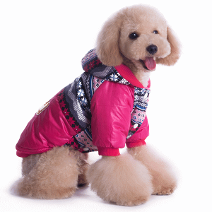 Z[20OFF  ~ h p[J[ WPbg t t[X gCo   y ^ ^ ^ h R[g  ̕ ~ ybg [֑