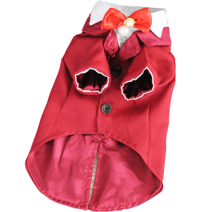 Z[50OFF  ^LV[h j̎q  tH[} lN^C { lbNXt t am   a LO NX}X nEB