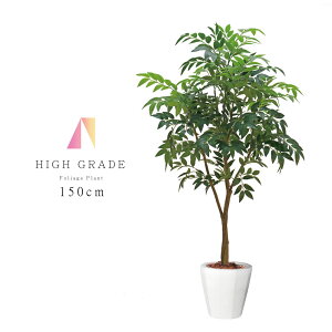 観葉植物 大型の人気商品 通販 価格比較 価格 Com
