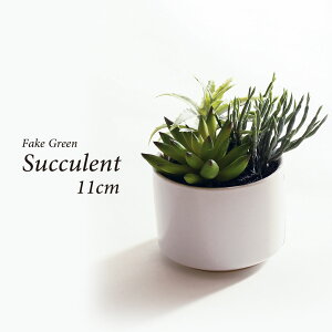 lHϗtA tFCNO[ A ϗtA  A 픫t  ^ tFCN O[ CeA  j ̓