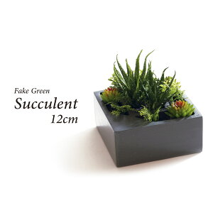 lHϗtA tFCNO[ A ϗtA  A 픫t  ^ tFCN O[ CeA  j ̓