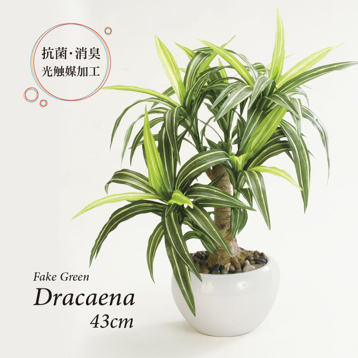 楽天市場】人工観葉植物 フェイクグリーン リアル 観葉植物 造花 