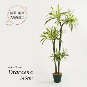 観葉植物 観葉植物の人気商品 通販 価格比較 価格 Com