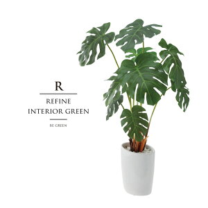 ϗtA ̓ O tFCNO[ A lHϗtA ̓ O Xe  RpNg  c[ Xܑ t ^ tFCN O[ CeA 55cm