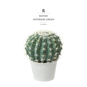 ϗtA ̓ O tFCNO[ A lHϗtA ̓ O {[T{e T{e   Xܑ ^ tFCN O[ CeA 28cm