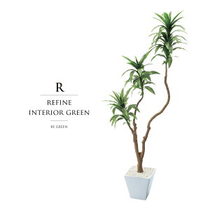 観葉植物 屋外の人気商品 通販 価格比較 価格 Com