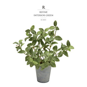 ϗtA tFCNO[ lHϗtA tBgjA  |bgt Zg  c[ Xܑ t ^ tFCN O[ CeA 27cm