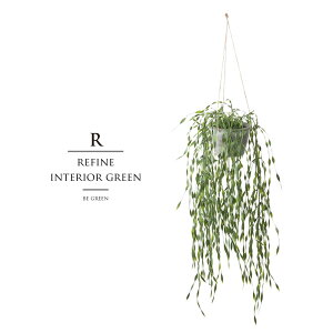 ϗtA ̓ O tFCNO[ A lHϗtA ̓ O EB[ nMO|bg   c[ Xܑ t ^ tFCN O[ CeA 72cm