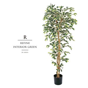 ϗtA ̓ O tFCNO[ A lHϗtA ̓ O xW~ tBJX   c[ Xܑ ^ tFCN O[ CeA 150cm