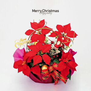 NX}XX |CZ`A 35cm tFCNt[ bh  u   fBXvC Xܑ CeA fR[V v[g NX}Xv[g  킢 