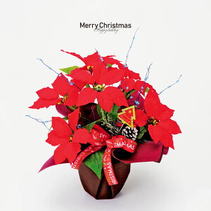 NX}XX |CZ`A 40cm tFCNt[ bh  u   fBXvC Xܑ CeA fR[V v[g NX}Xv[g  킢 