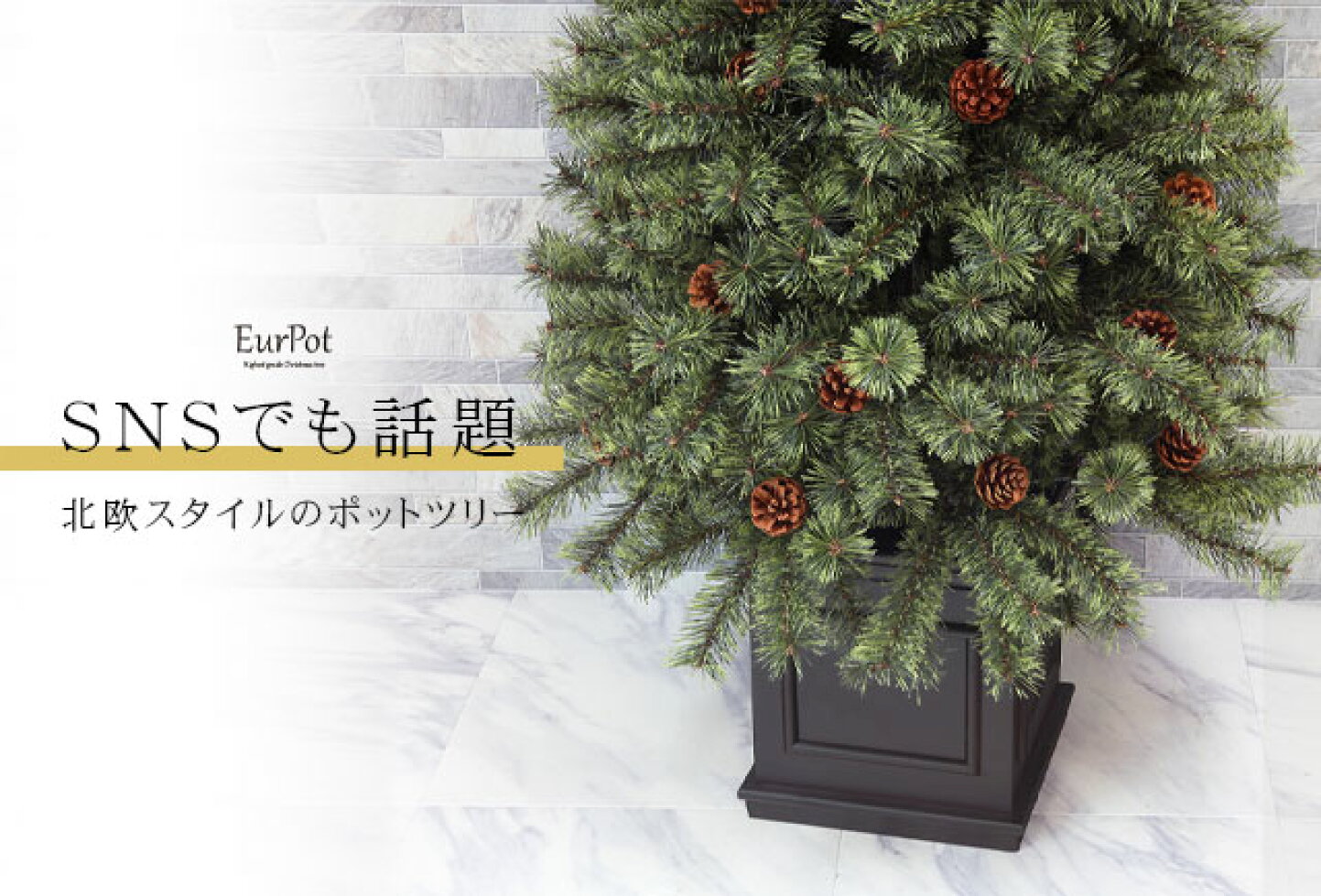 楽天市場 雛人形 ひな人形 五月人形 クリスマス こいのぼり 恵月人形本舗 トップページ 楽天市場 雛人形 ひな人形 五月人形 クリスマス こいのぼり 恵月人形本舗 トップページ