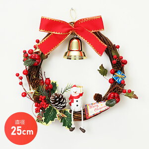 NX}XX[X 25cm [X ~j u   fBXvC CeA fR[V 킢  킢 hA