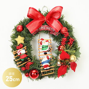 NX}XX[X 25cm [X ~j u   fBXvC CeA fR[V 킢  킢 hA