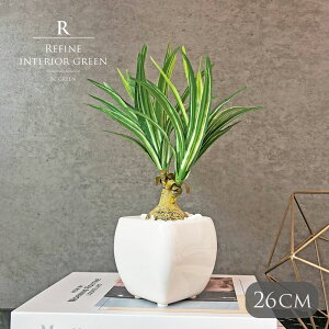 mi|bg ϗtA tFCNO[ lHϗtA  |bg mi   c[ JtF   Xܑ t ^ tFCN O[ hZi CeA 26cm