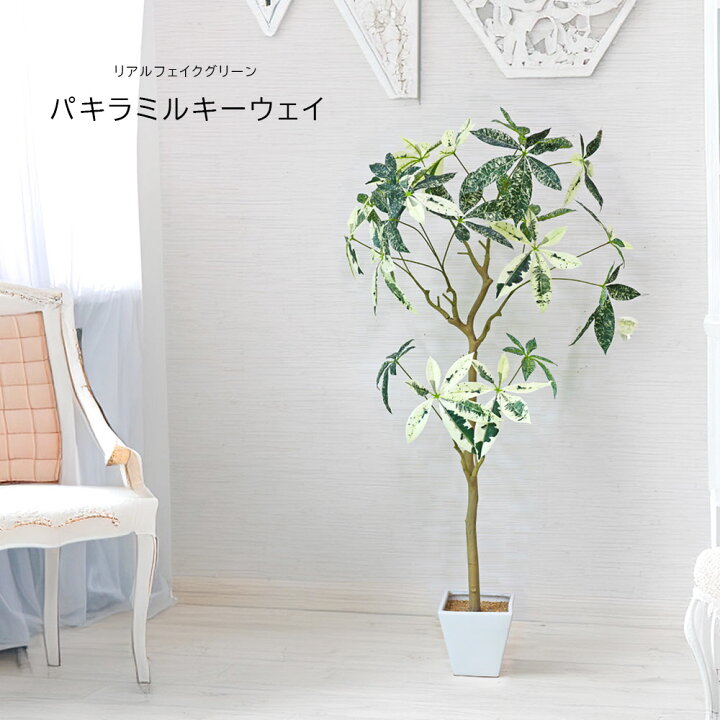 楽天市場】人工観葉植物 父の日 屋外 フェイクグリーン リアル 観葉  