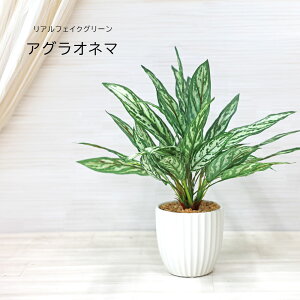 lHϗtA ̓ O tFCNO[ A ϗtA ̓ O  AOIl}|bg t CeA  45cm